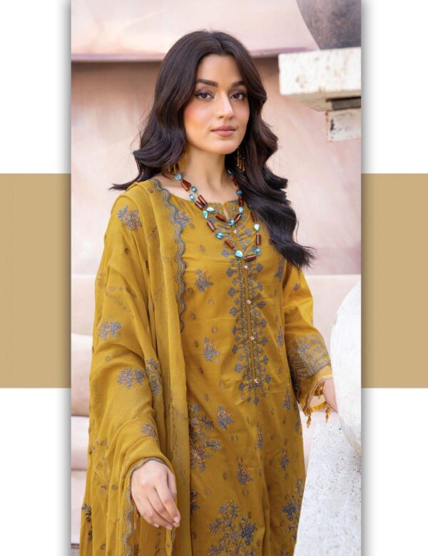 Dilkkash #03 - Image 8