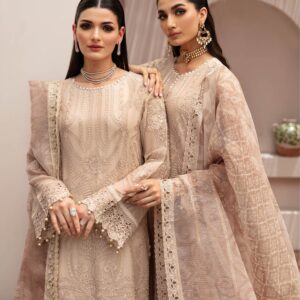 Ramsha Luxury Chiffon #2