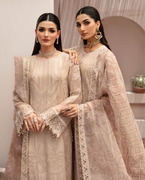 Ramsha Luxury Chiffon #2