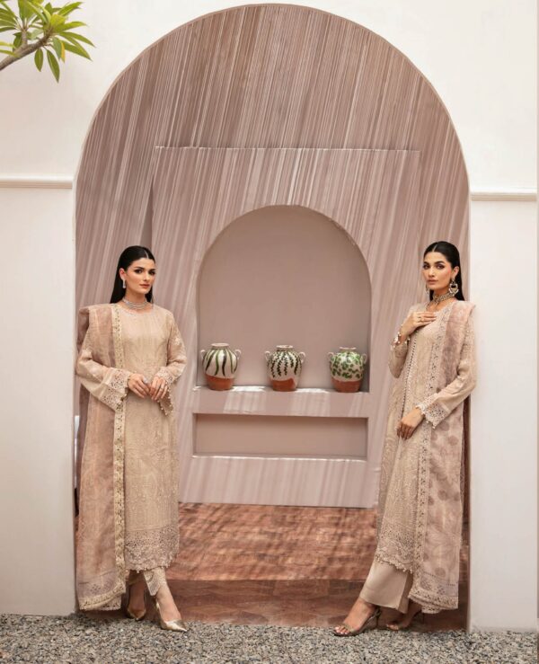 Ramsha Luxury Chiffon #2 - Image 9