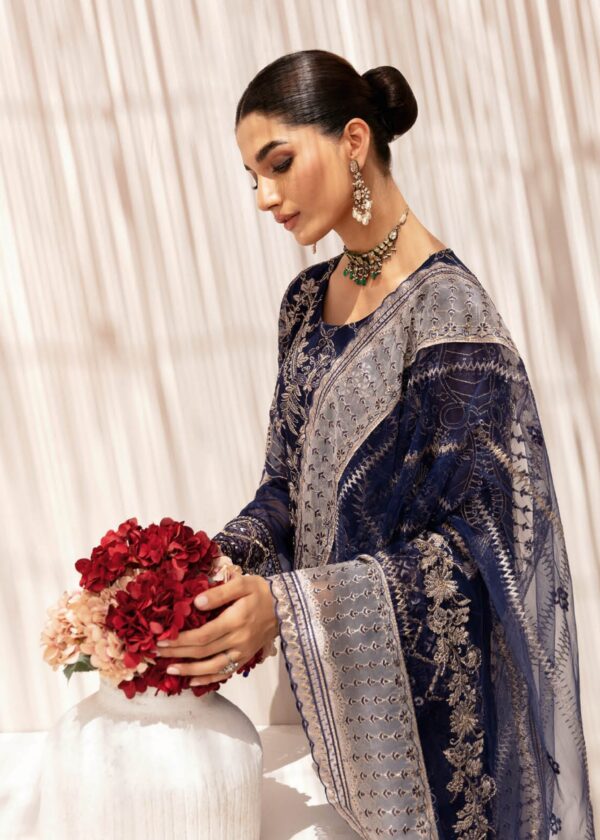 Ramsha Luxury Chiffon #1 - Image 9