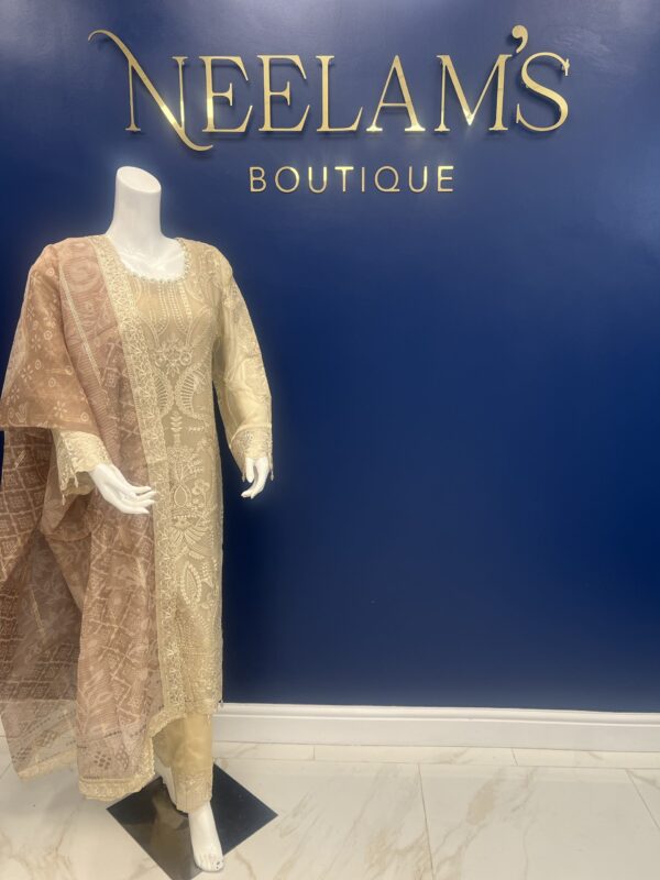 Ramsha Luxury Chiffon #2 - Image 2