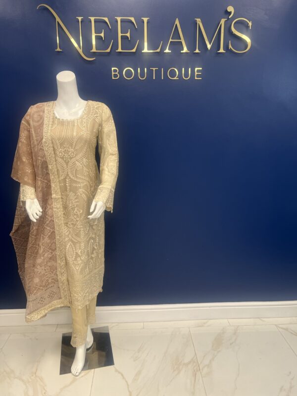 Ramsha Luxury Chiffon #2 - Image 5