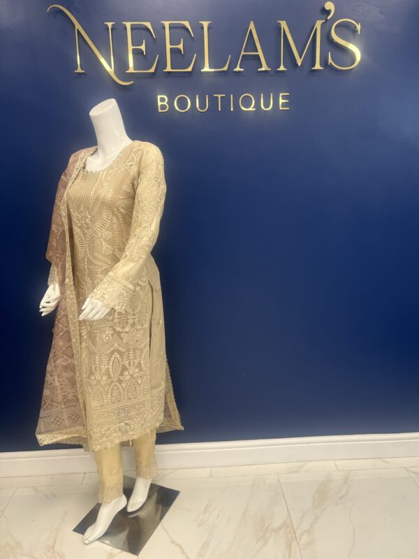 Ramsha Luxury Chiffon #2 - Image 4