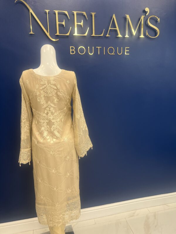 Ramsha Luxury Chiffon #2 - Image 3