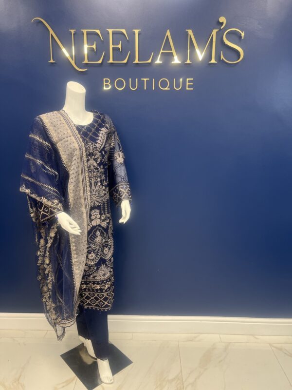 Ramsha Luxury Chiffon #1 - Image 4